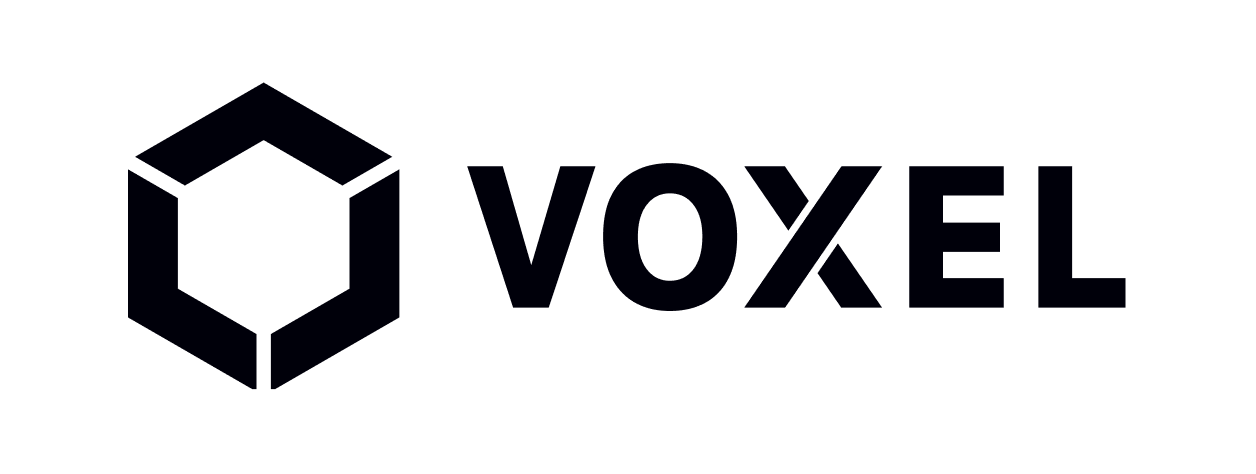 Voxel logo